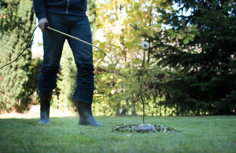 Crabgrass Removal in Rockwall, TX