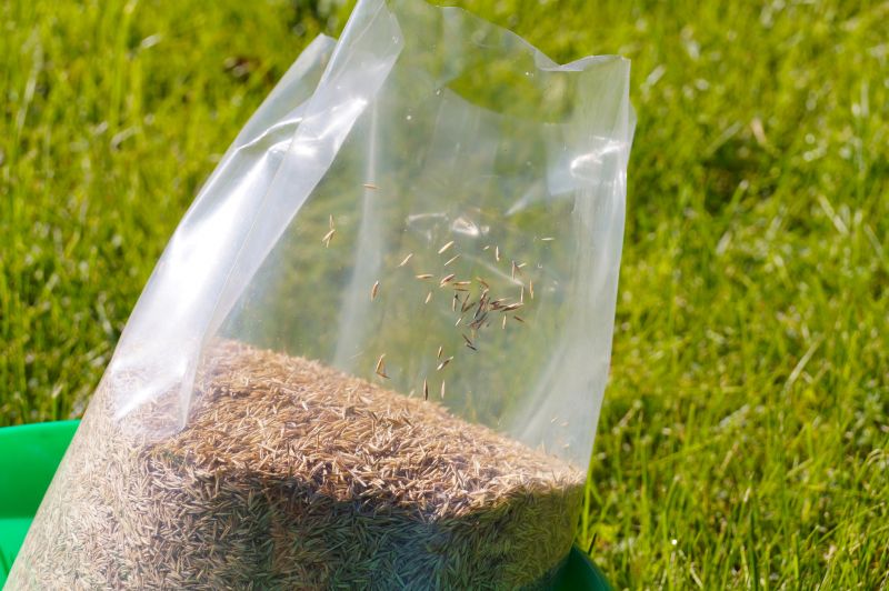 Commercial Grass Seeding