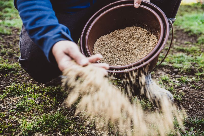 Commercial Grass Seeding