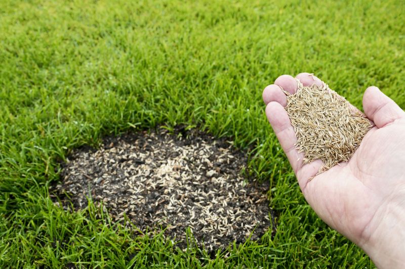Grass Seed Installation