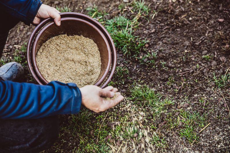 Grass Seed Installation