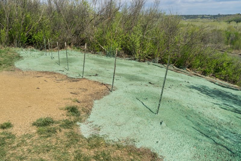 Lawn Hydroseeding