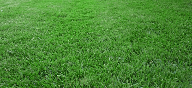 Residential Grass Seeding