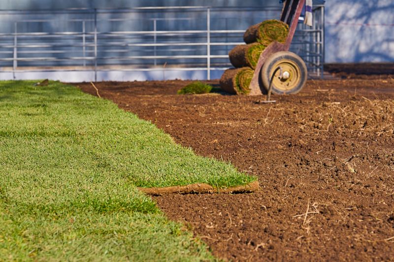 Yard Sod Installation in Rockwall, TX